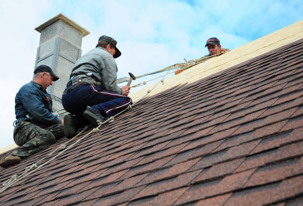 Roof Gutter Cleaning in Braddock Heights, MD